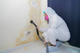 Why You Should Choose Our Mold Remediation Services in Island Lake, IL